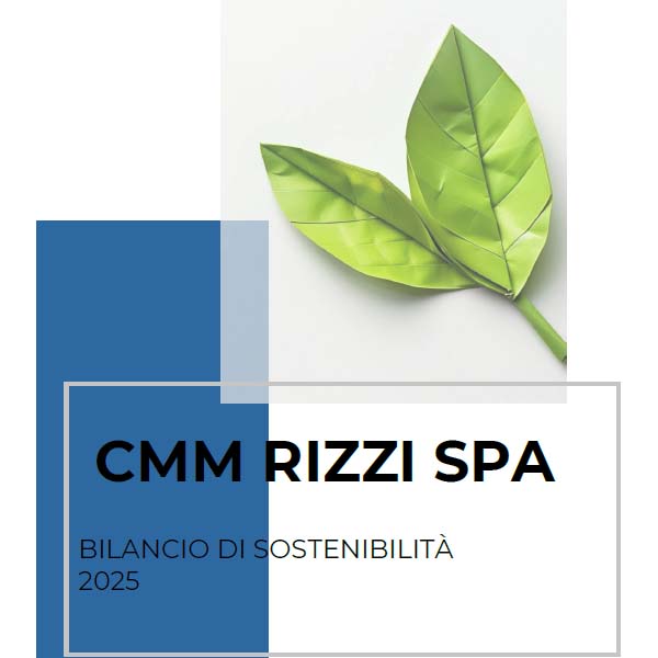 Consulta l'allegato
